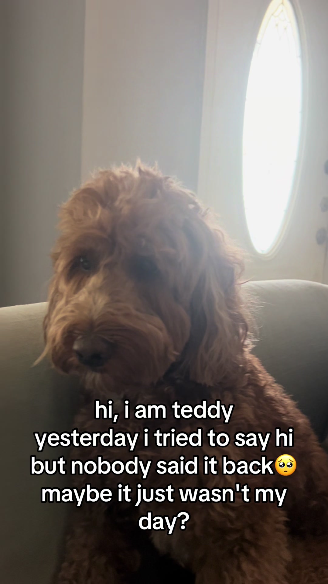 @Goldendoodlelover