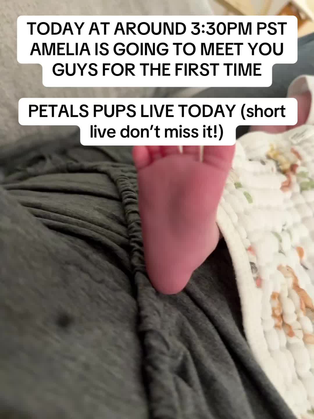 @petals pups handmade studio