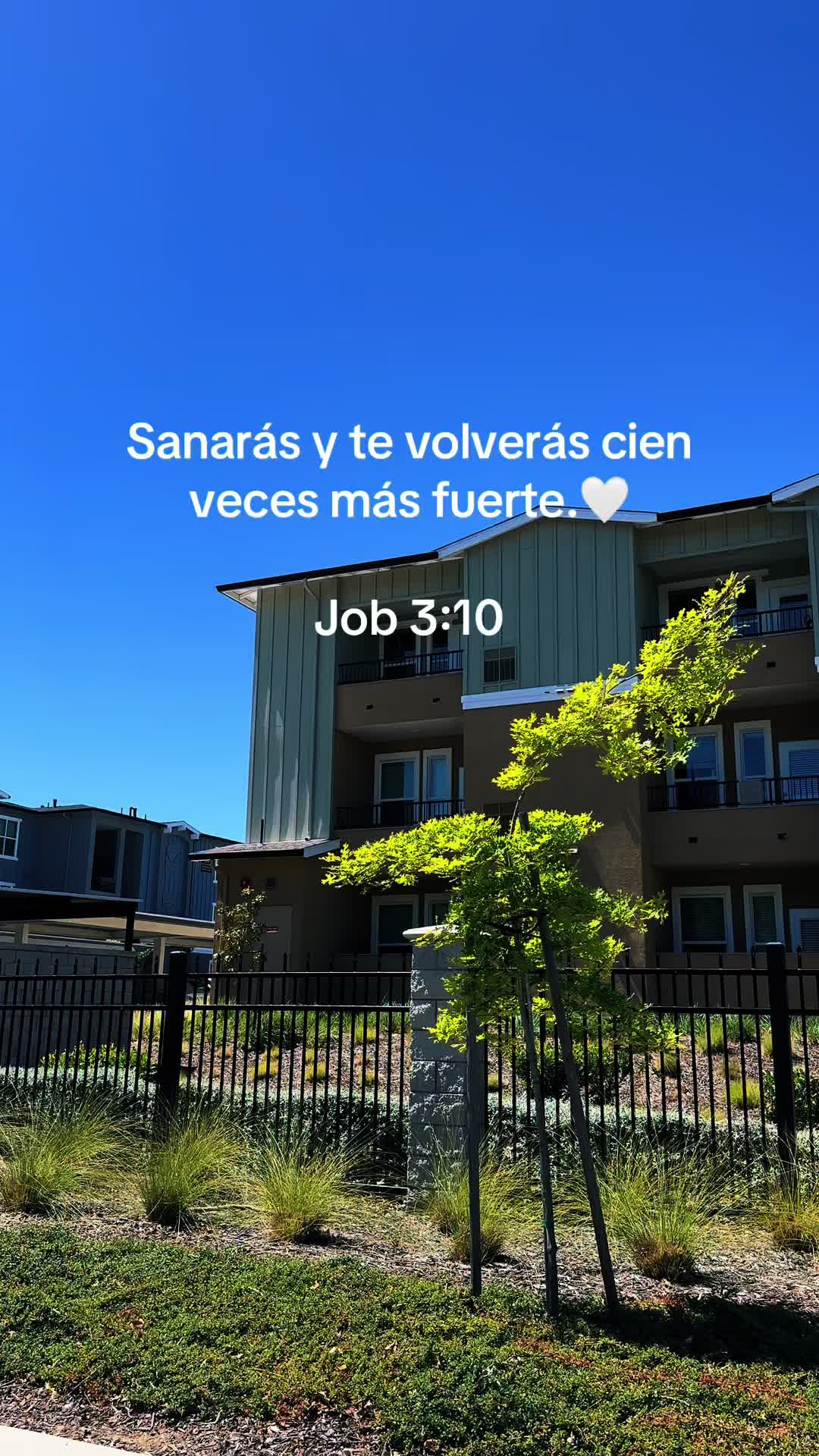 @🎶Músicas👑Cristianas🎶