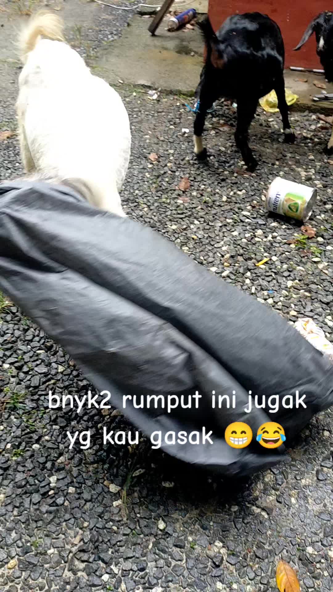 @Bro Izam