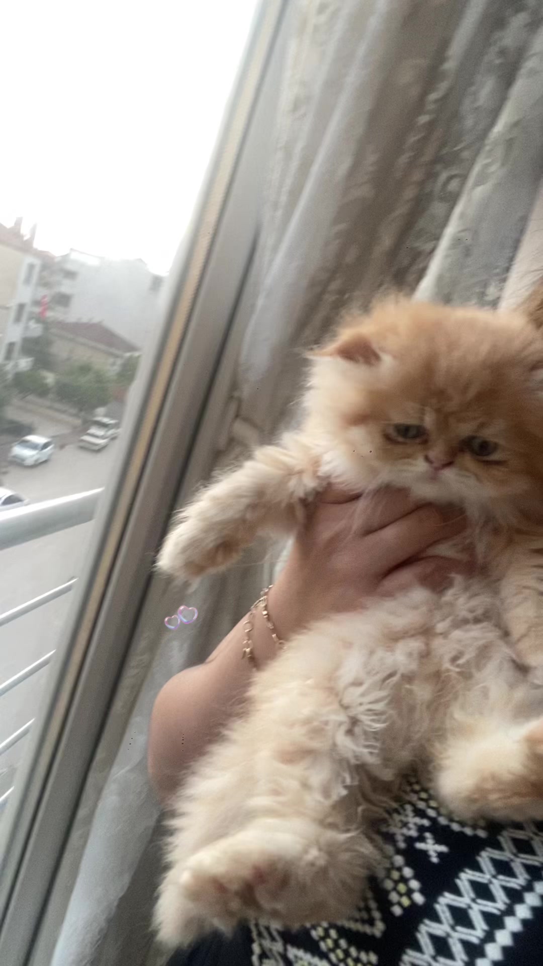 @Sevil A.🏆i&ccedil;erik &uuml;retici