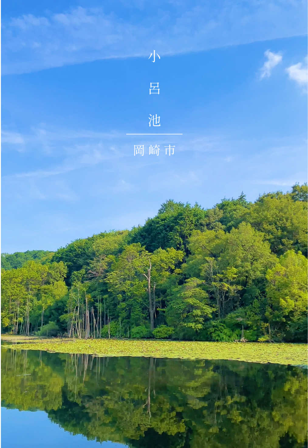 @Aichi_Traveler🎌
