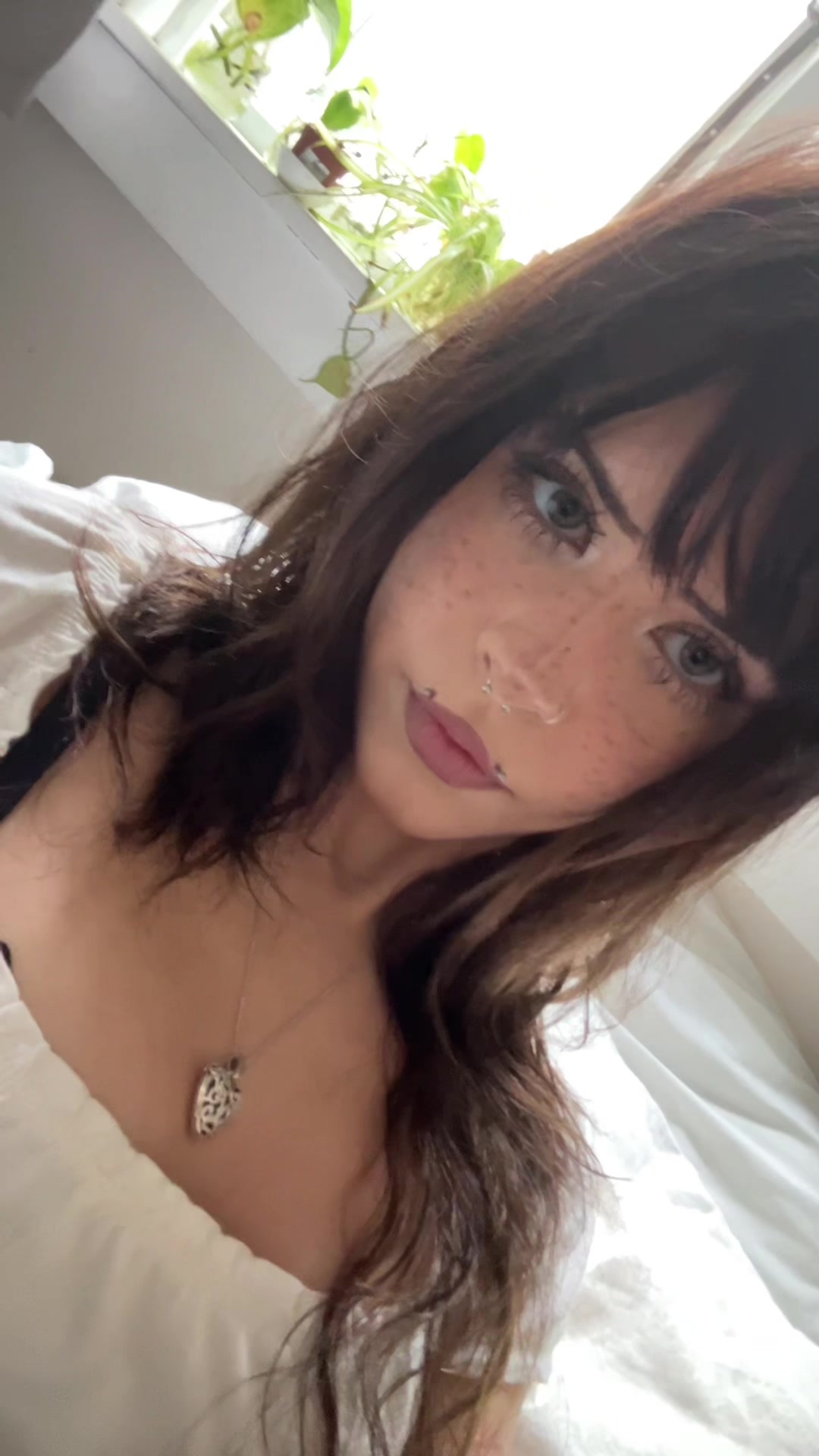 @evangeline 🪽