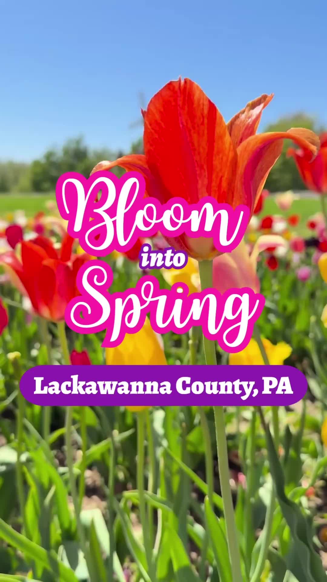 @Visit Lackawanna County, PA