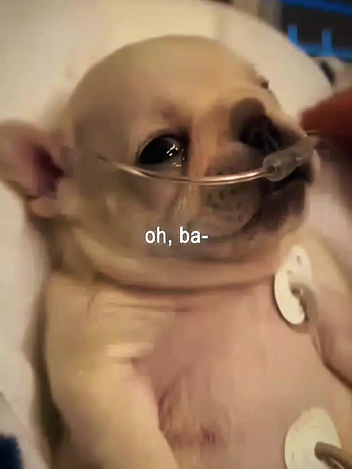 @โ
๐๐ต๐ฎ๐๐ฒ๐ผโ