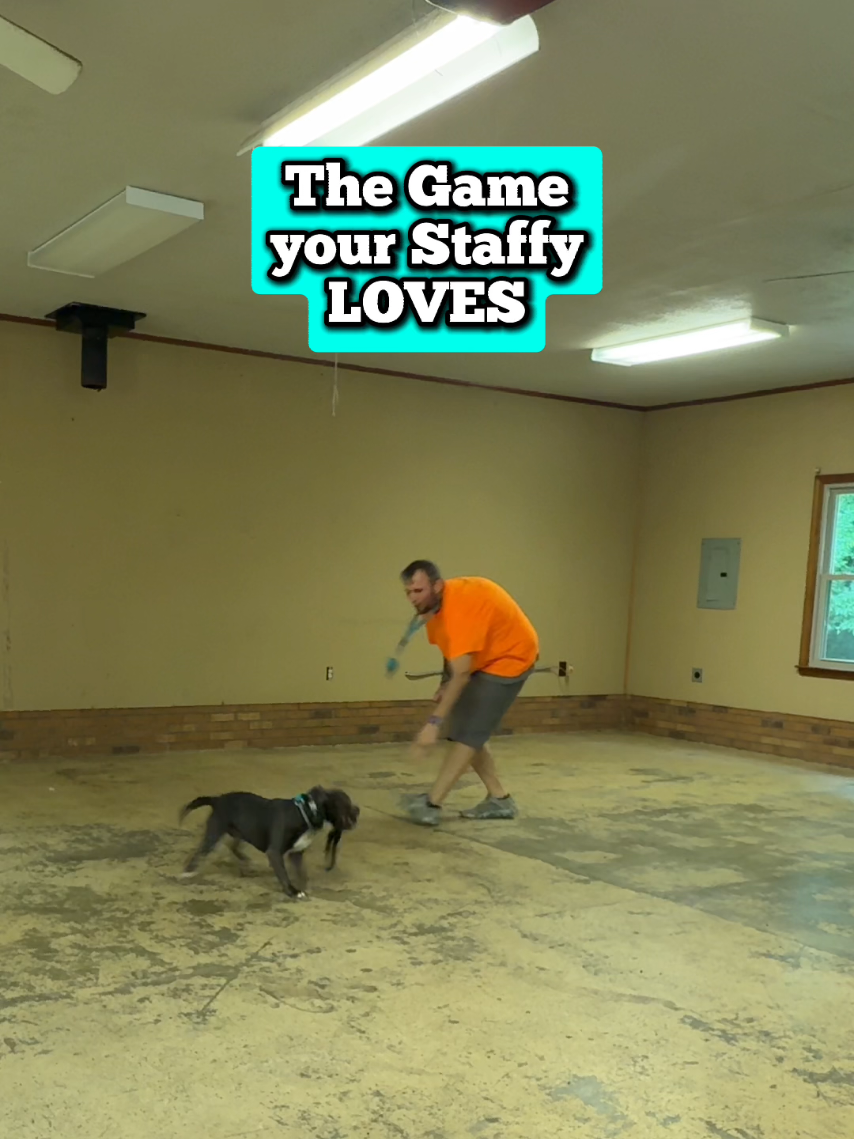 @Lost Boys K9 Academy