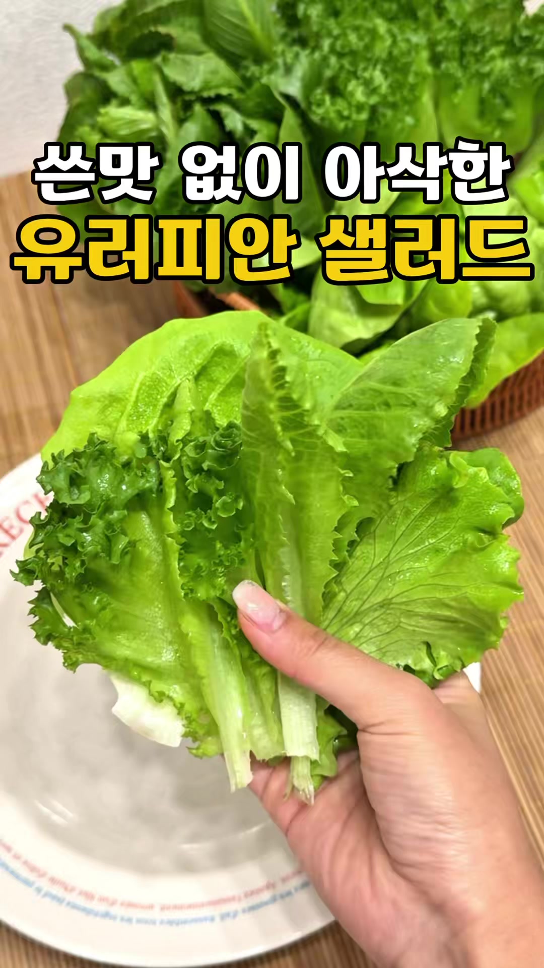 @싱싱햇 - 365일 싱싱한 햇 제철 먹거리