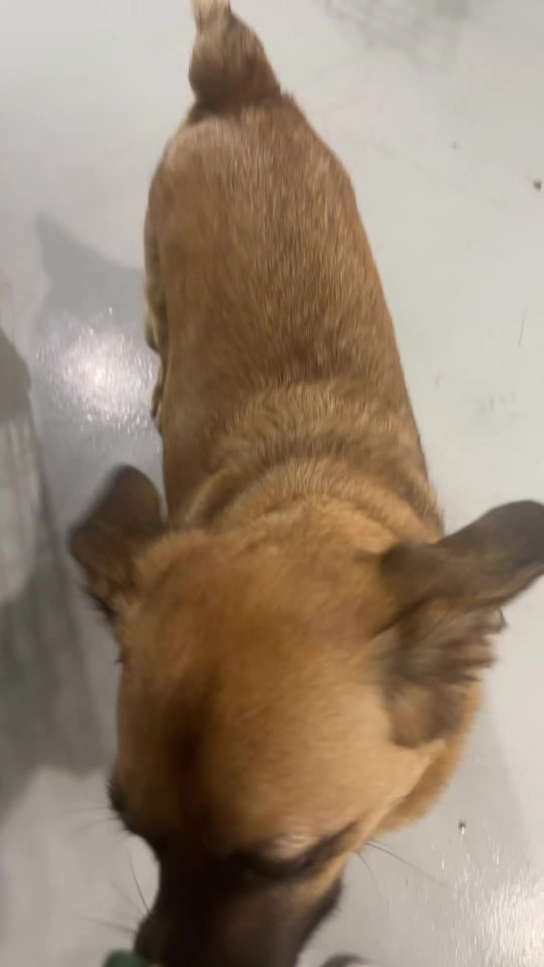 @Bed Bark and Beyond