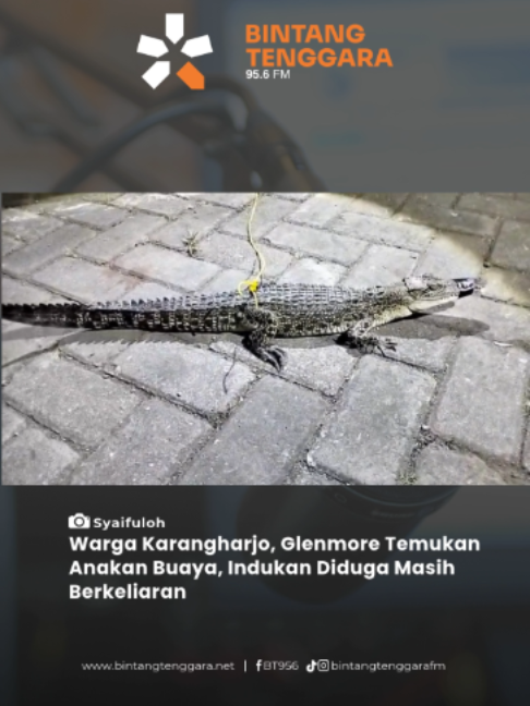 @BINTANG TENGGARA