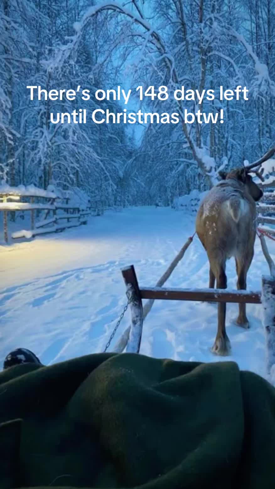 @christmas vibes!