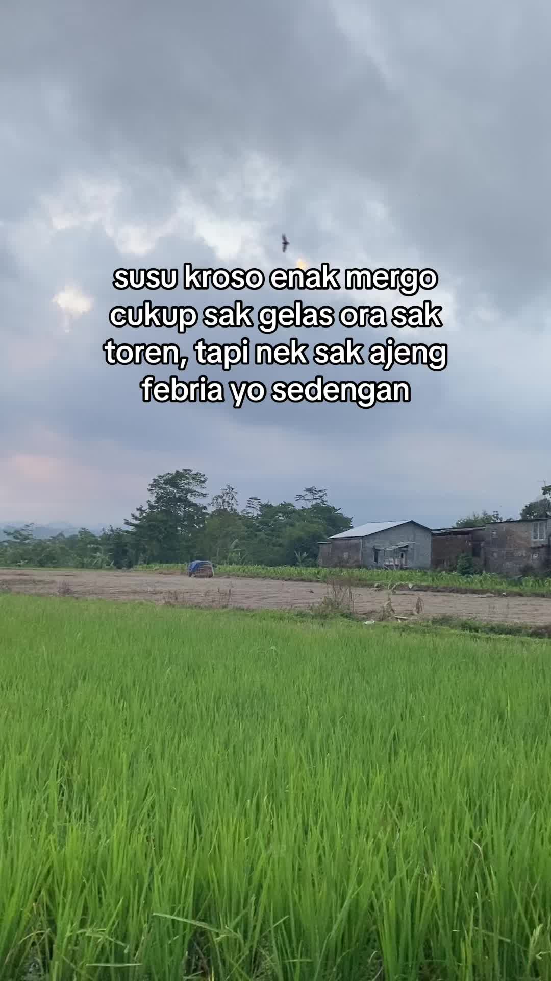 @Anak Ruju