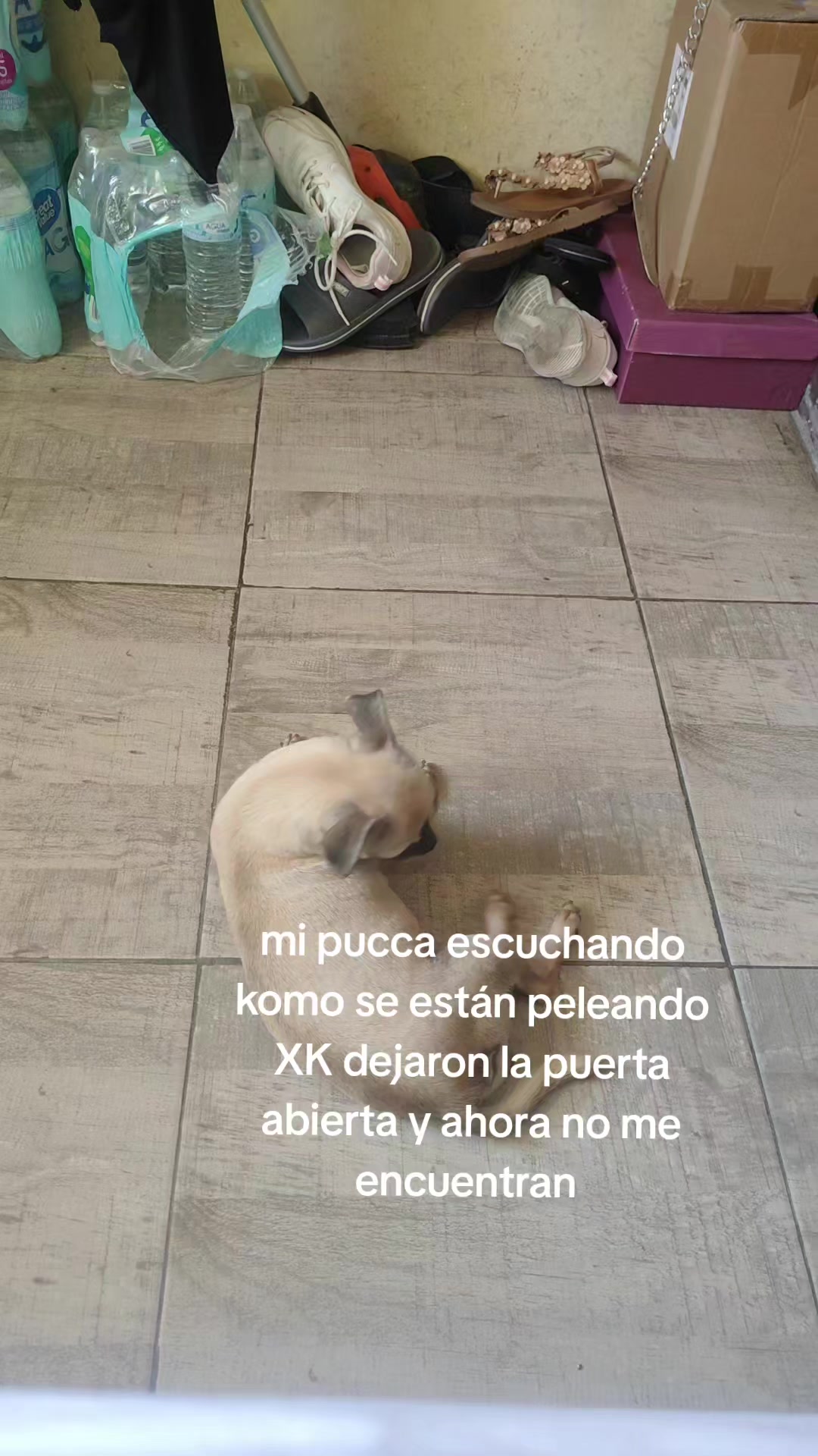 @Venessa