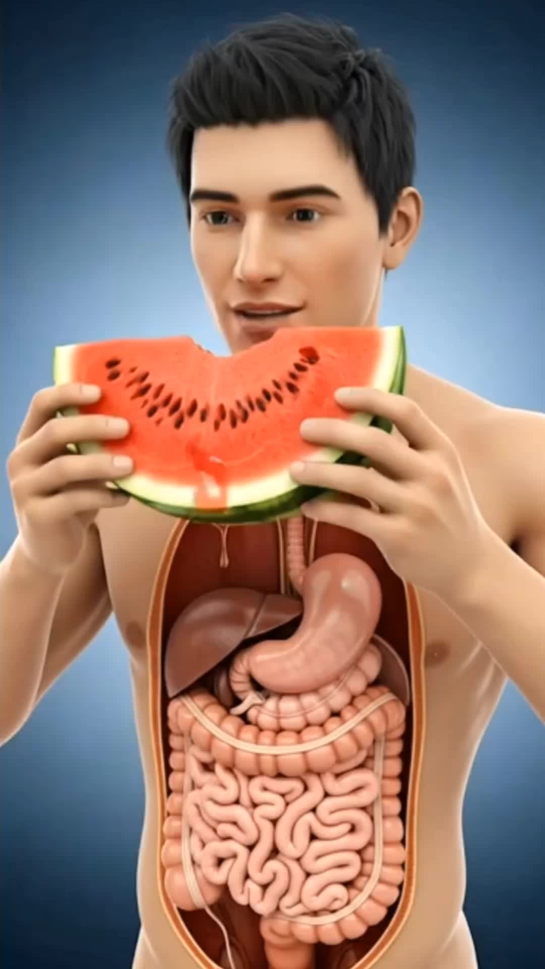 @C H E C K M A T E