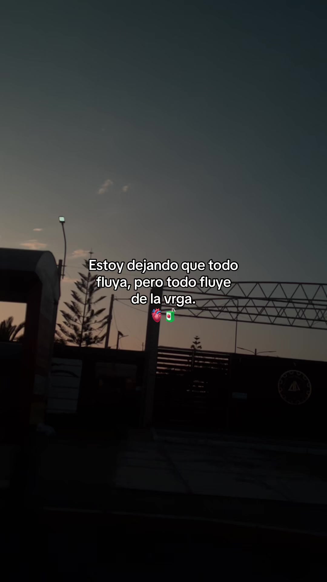 @Gatocix 🐱