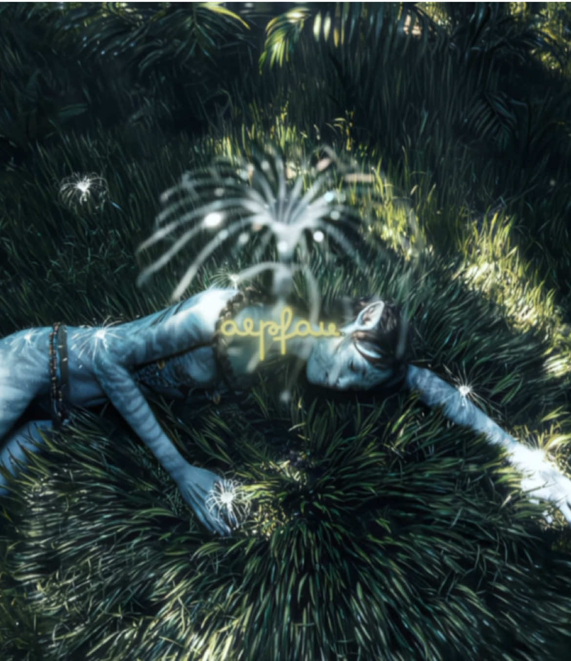 @fawn ⋆౨ৎ˚