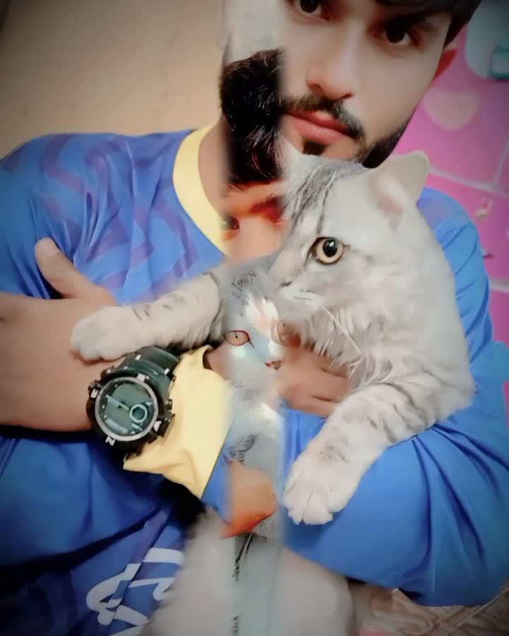 @Saleem Haleem