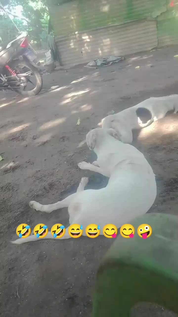 @Eliza la acha