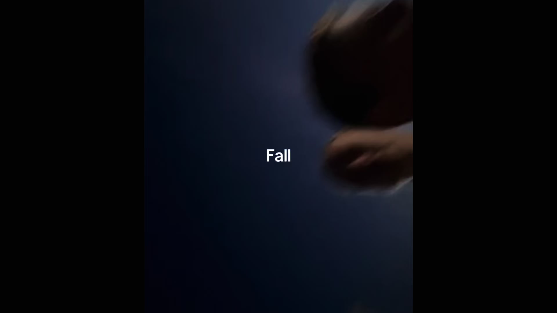 @nnn🐾