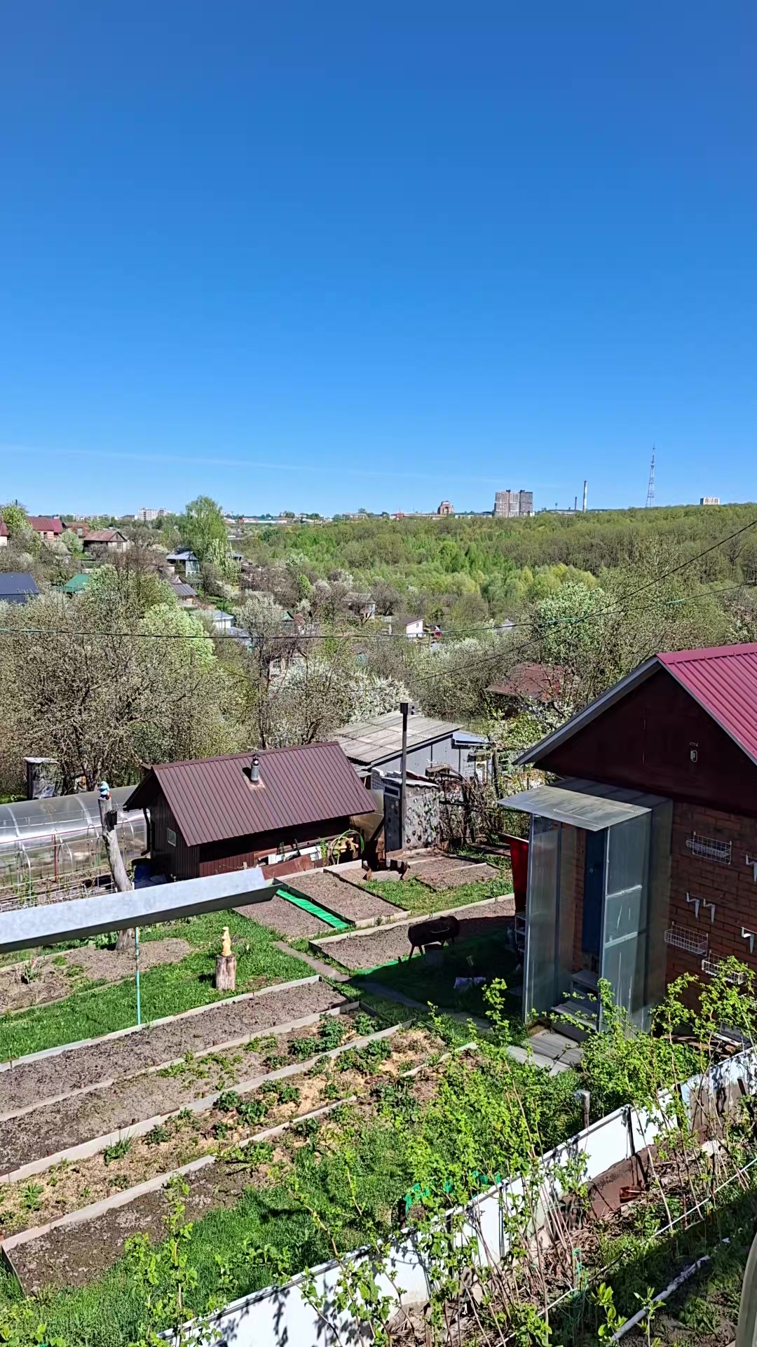@рыжая бестия