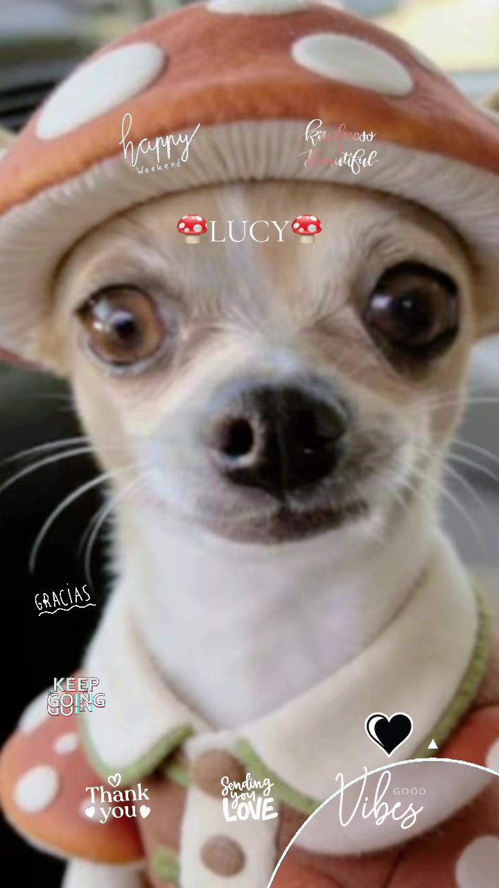@Lucy