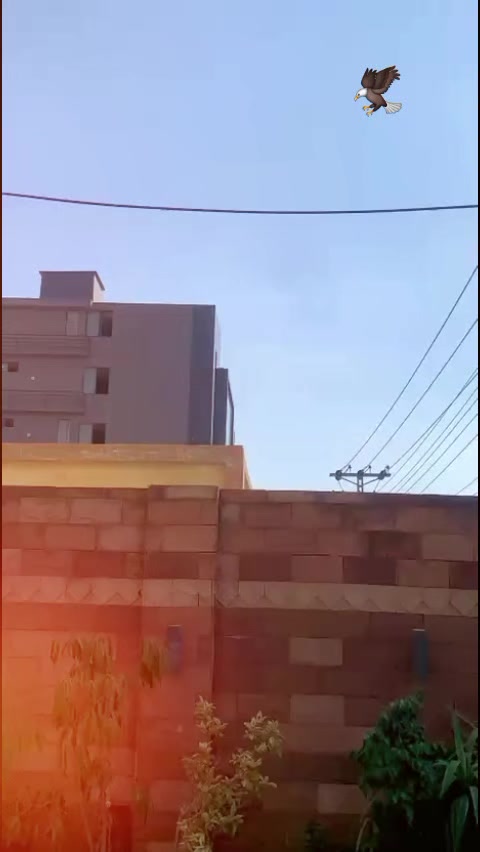 @🔥 Aqib Raj 🔥(A.R)
