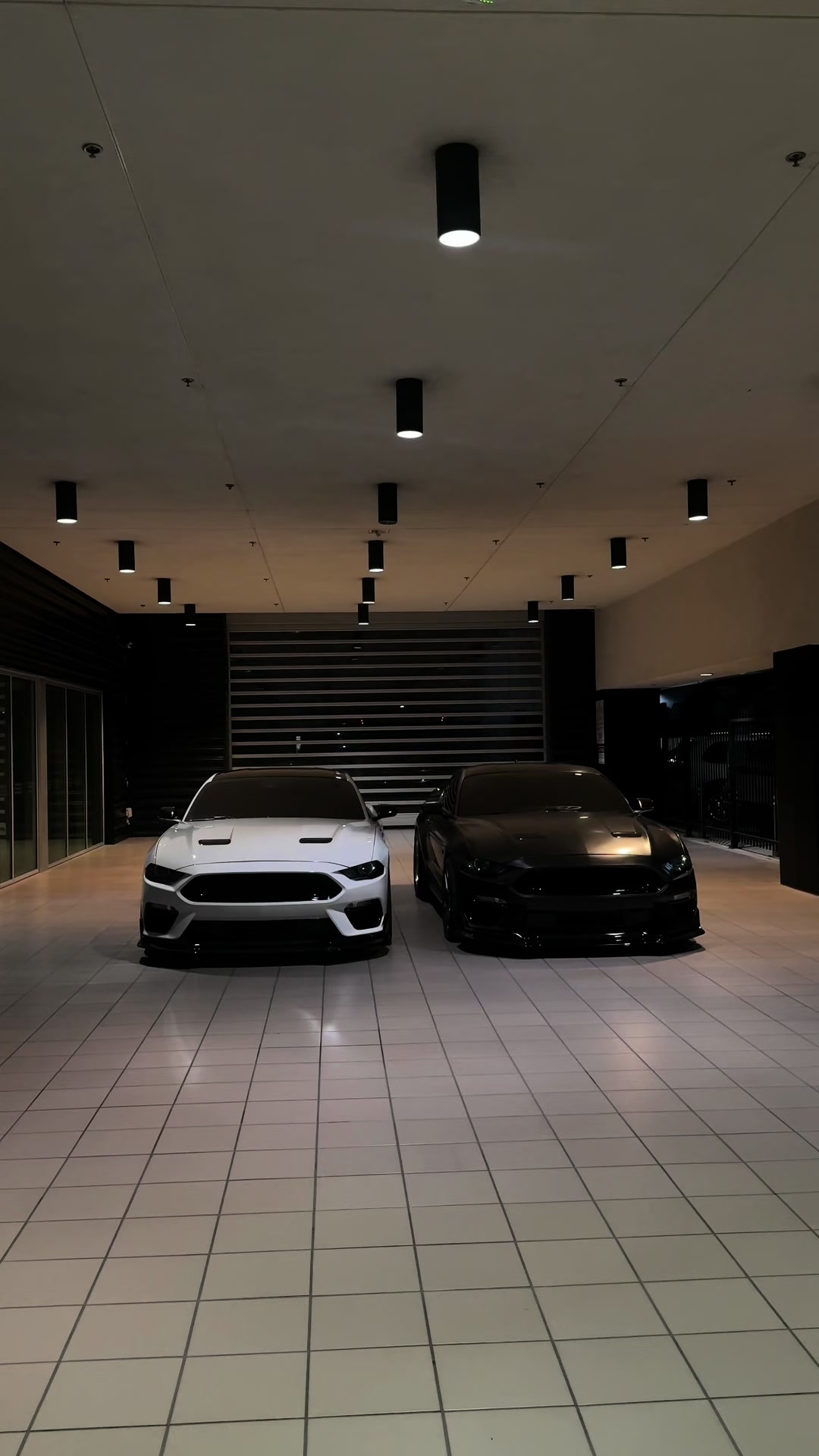@Jalen.cs