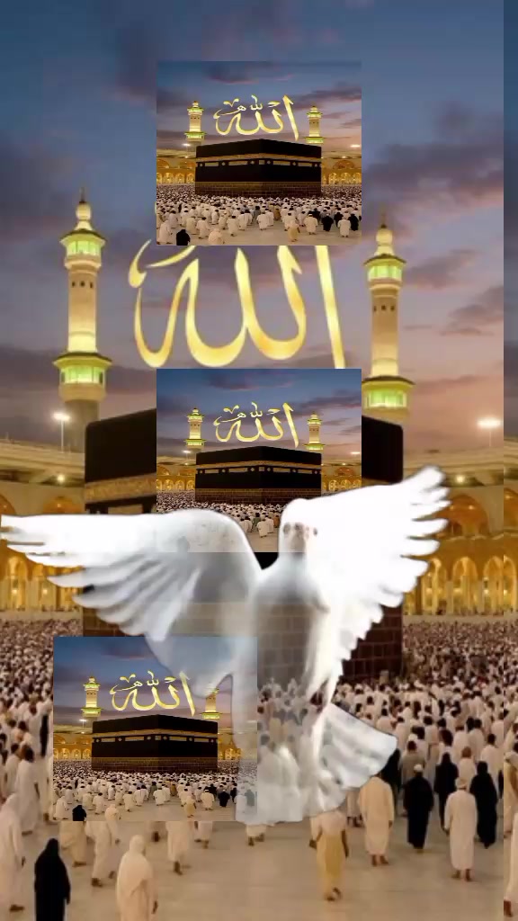 @🌹 ömrüm 🌹