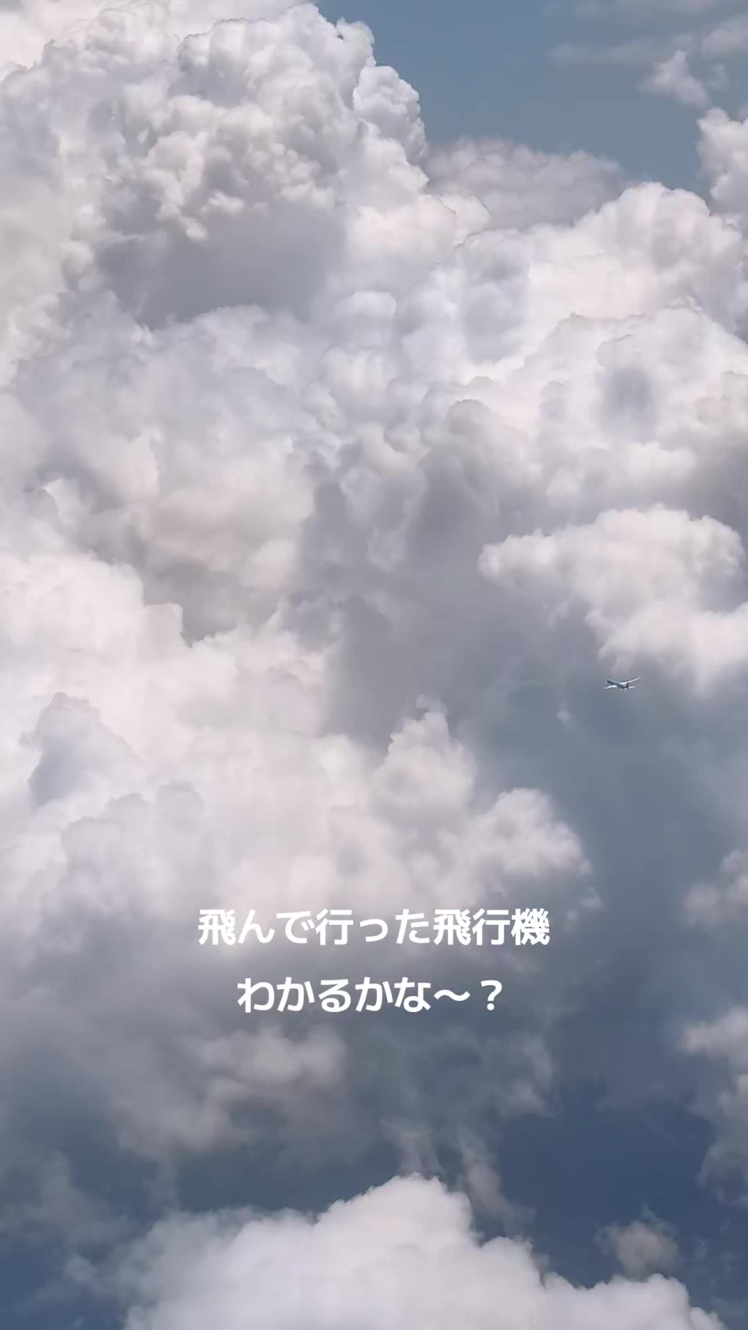 @金麦北海道