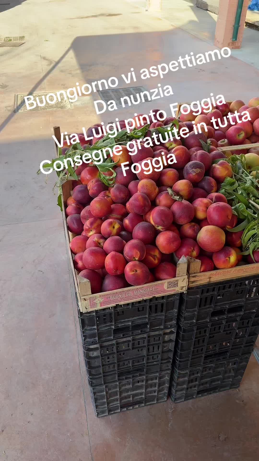 @frutta e verdura da nunzia