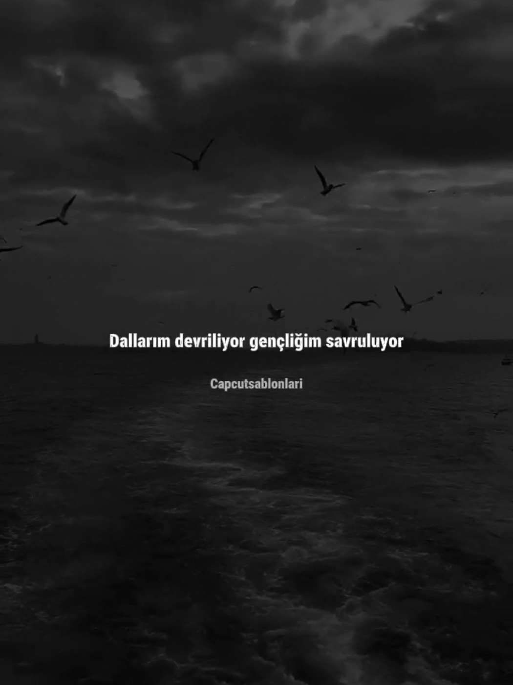 @Capcut Şablonları