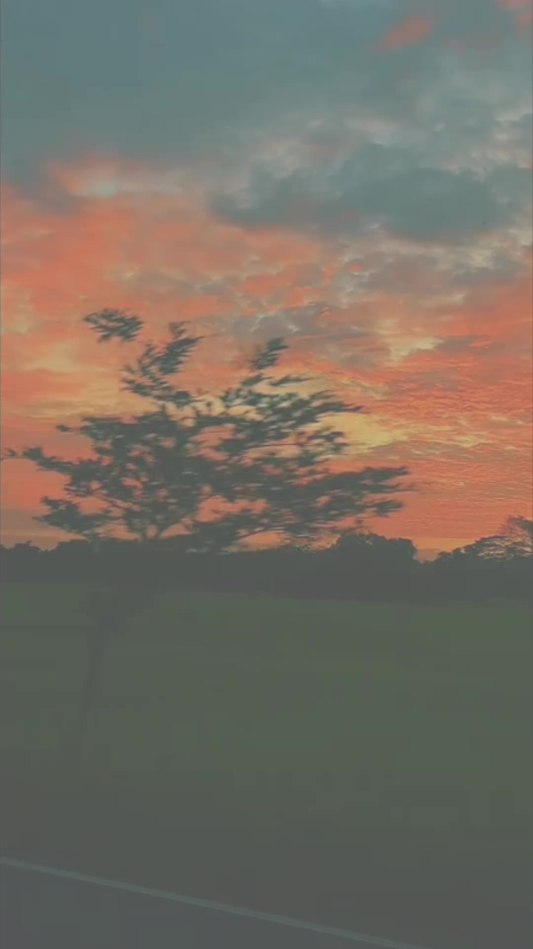 @𝙎𝙝𝙚𝙣 ❕