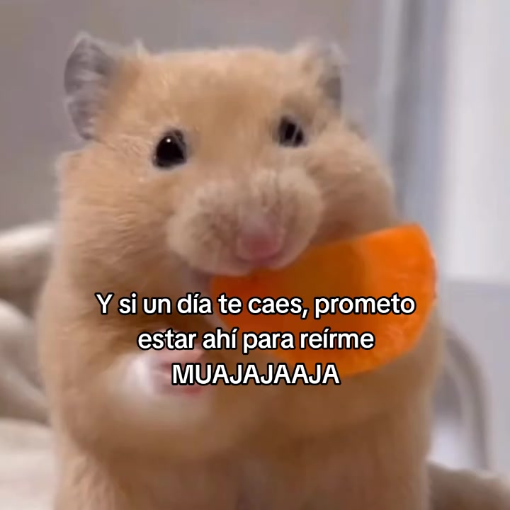 @goodvibessxd