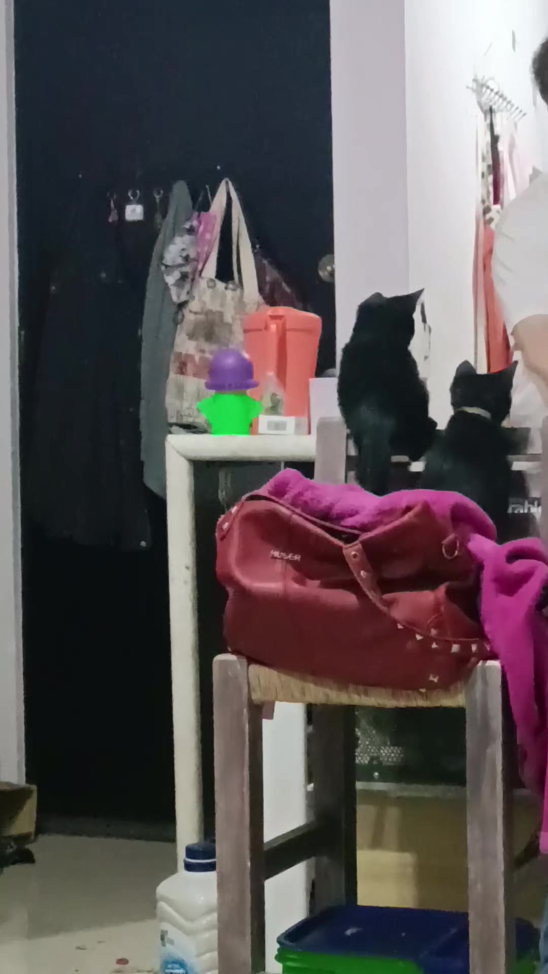 @Rosaura