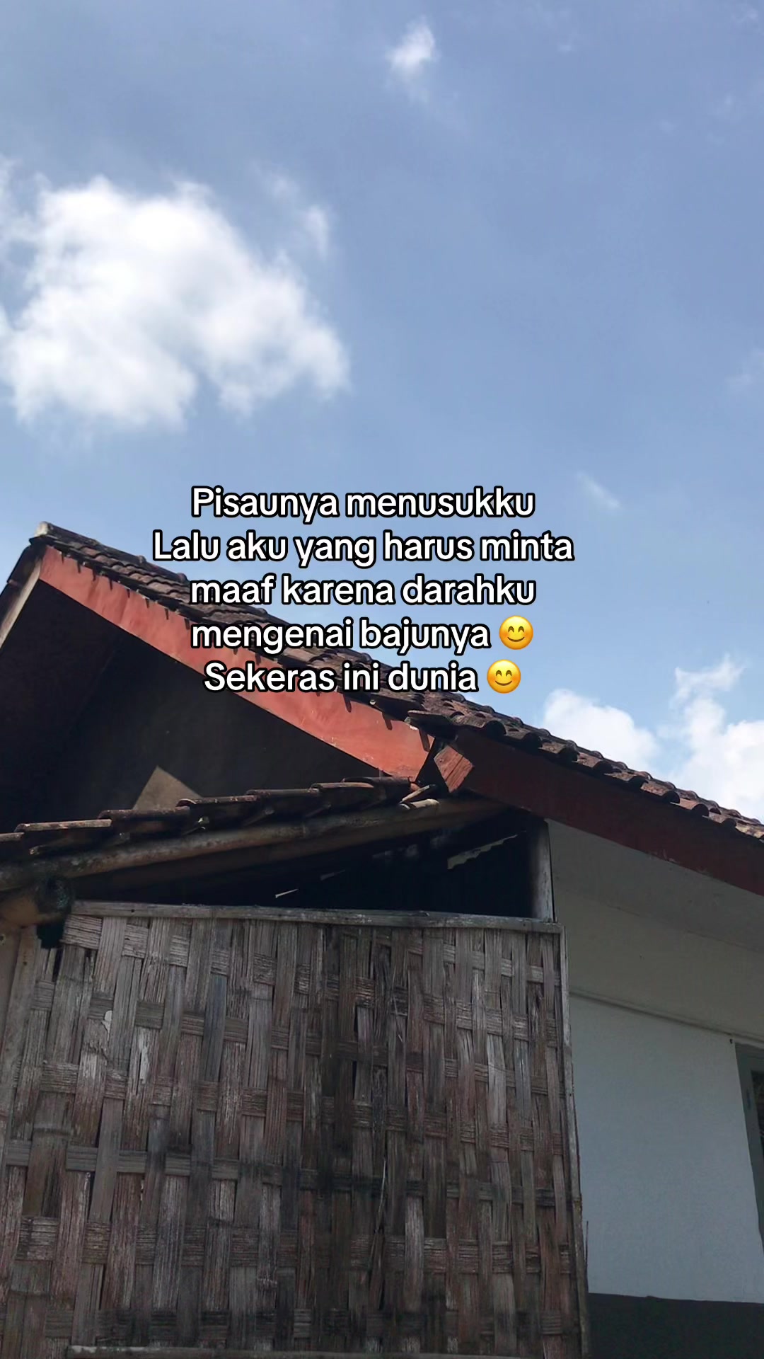 @kaktara24
