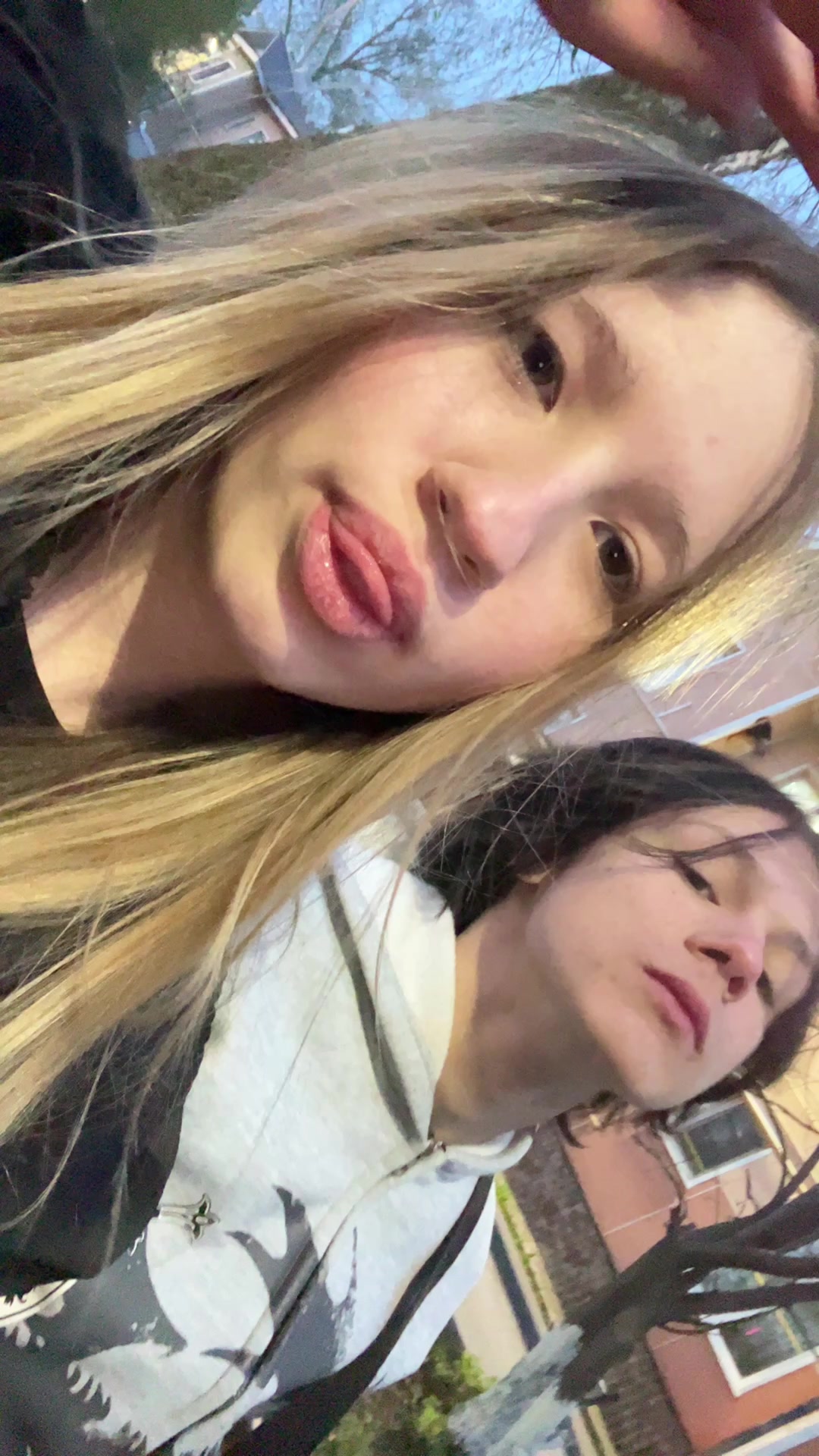 @carvalol_1