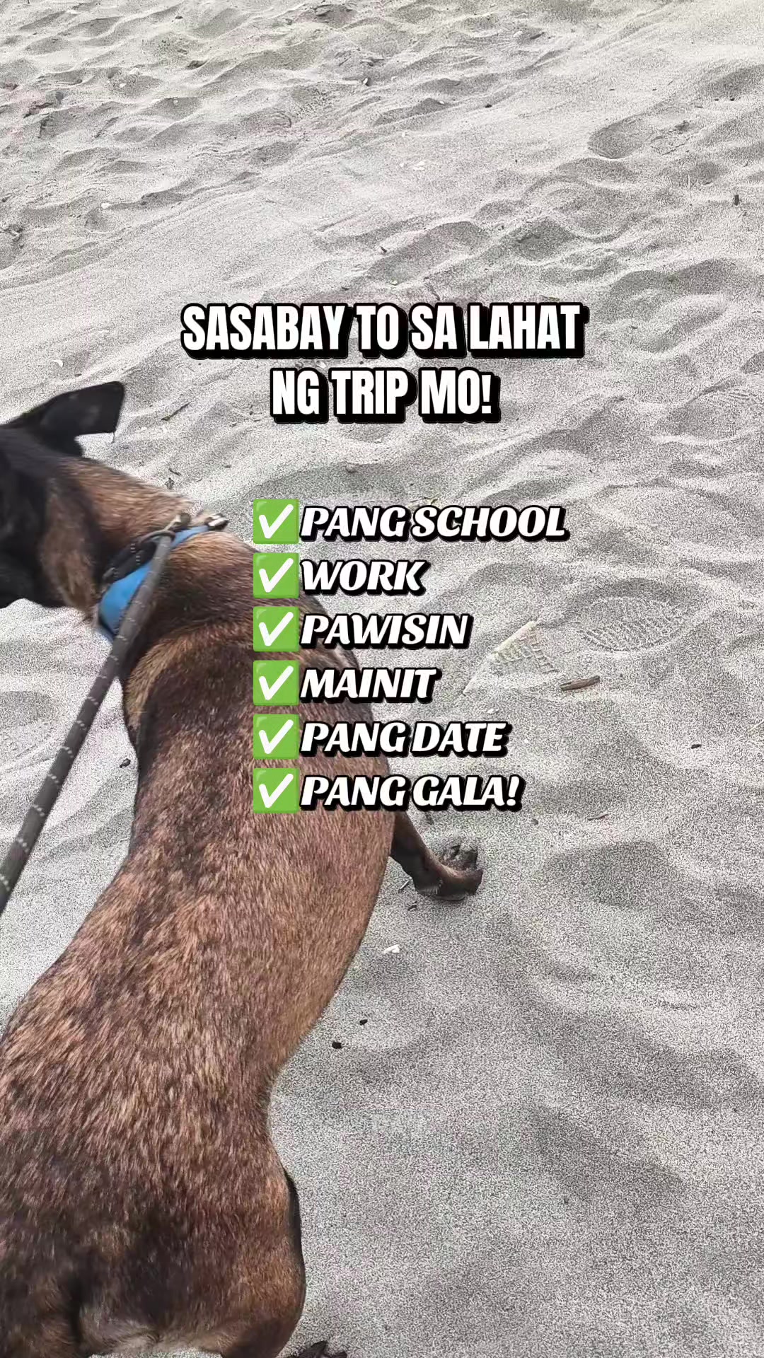 @PaÜ