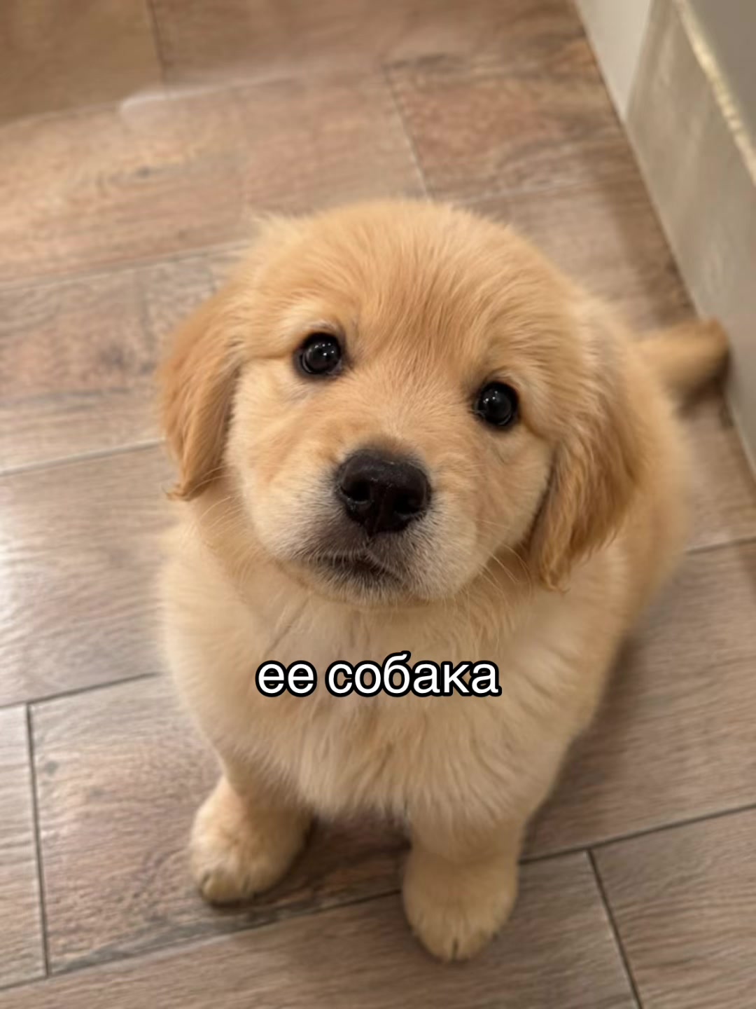 @мэйн. 愛