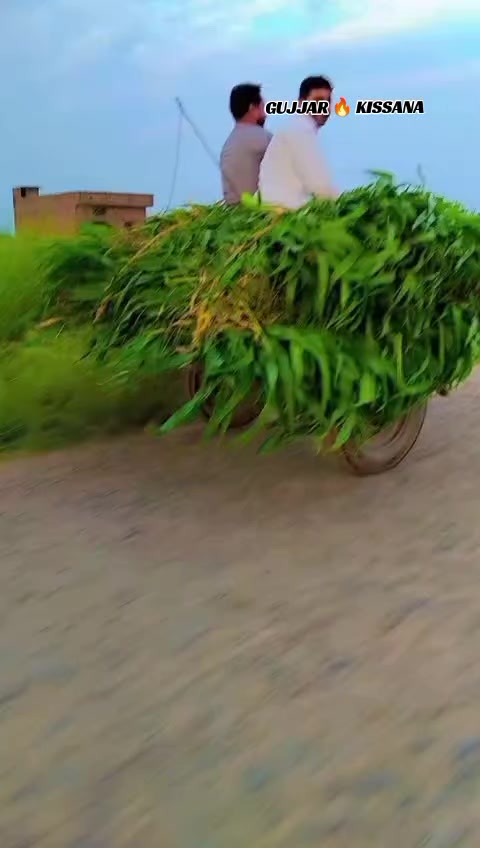 @𝐆𝐔𝐉𝐉𝐀𝐑 𝐊𝐈𝐒𝐒𝐀𝐍𝐀55
