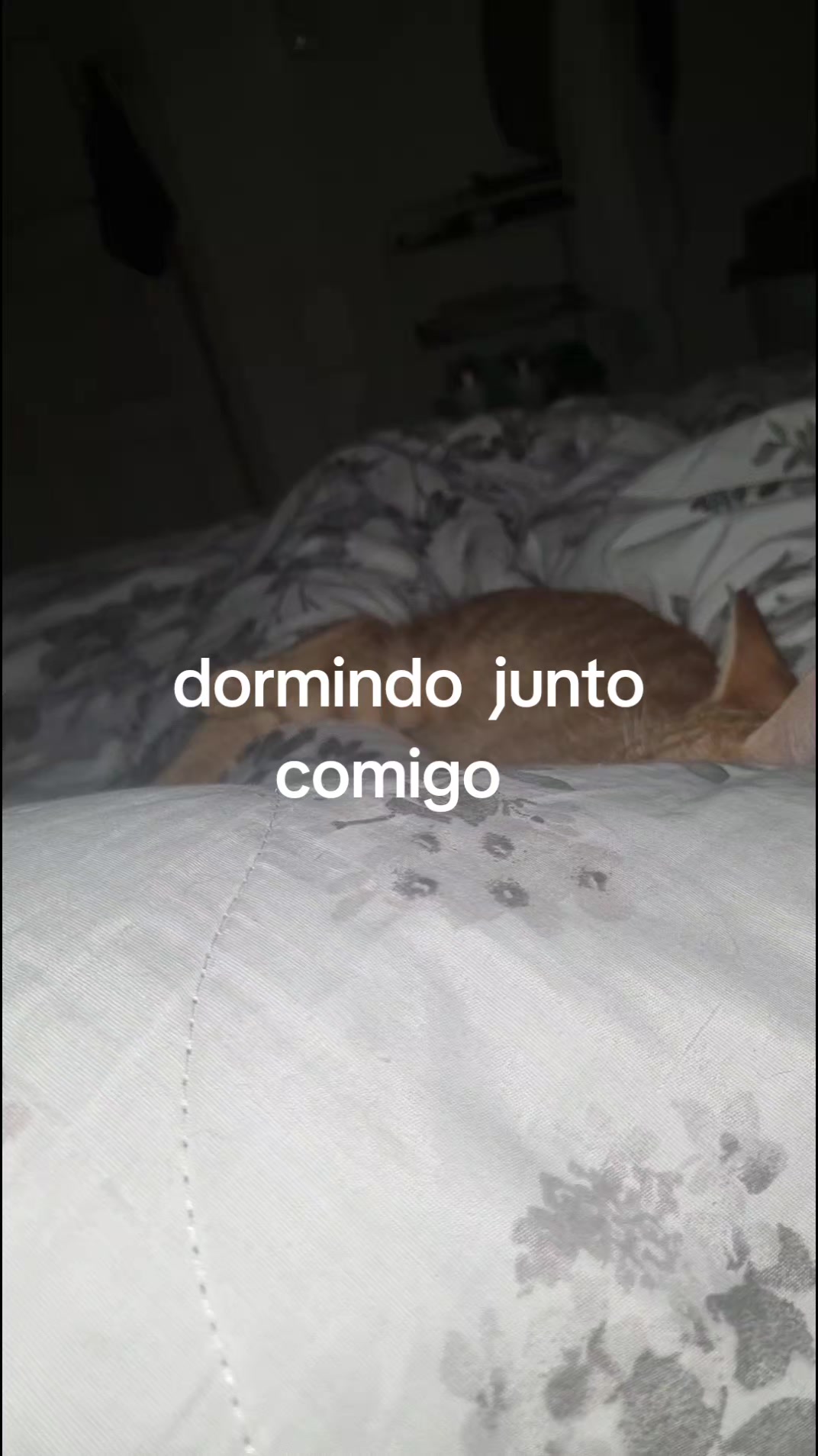 @SONIA MARA DE ARRUDA