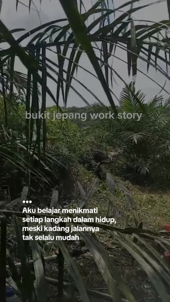 @Lek Tono