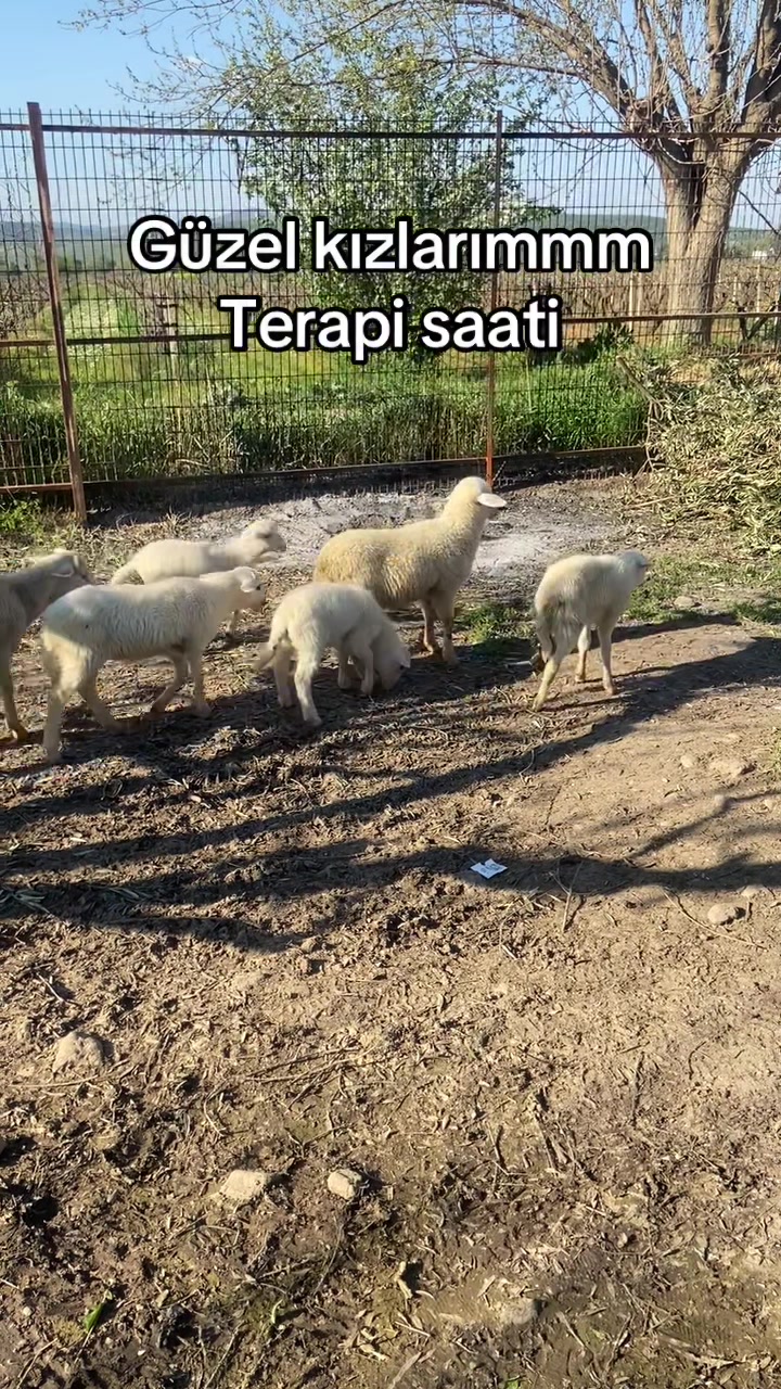 @CANER _ATSAN