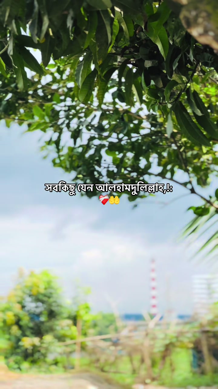 @Tazvin SAKIB
