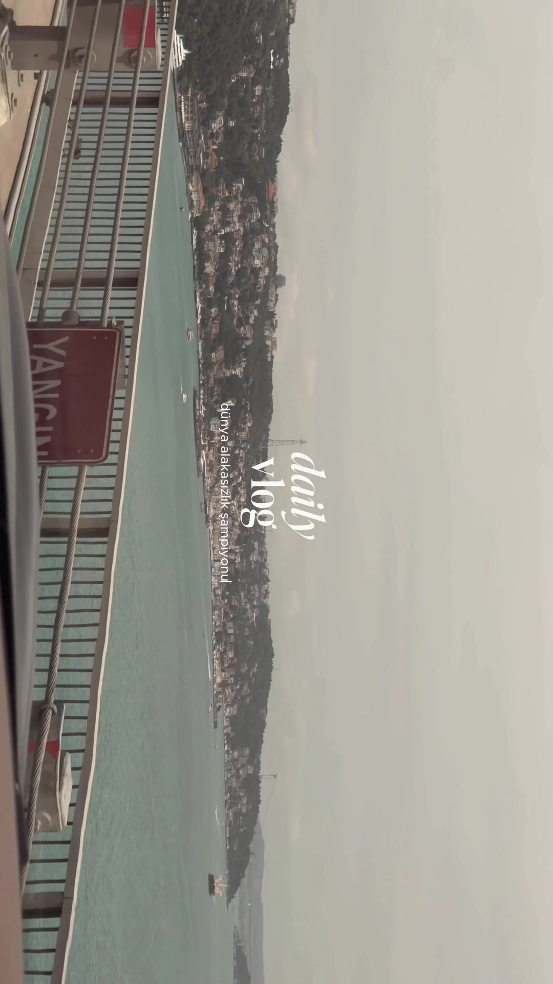 @Beste Alin Sungur