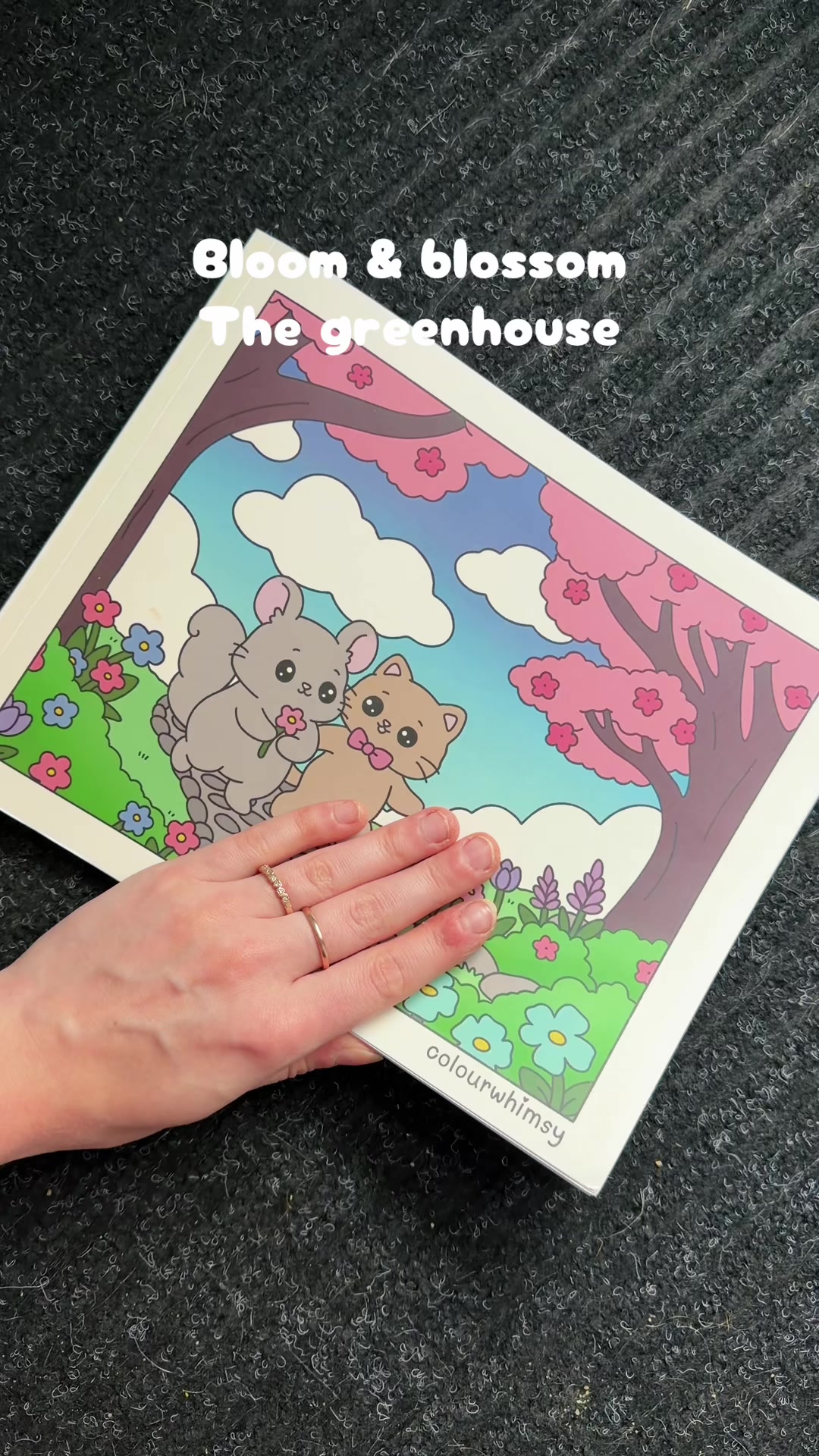 @colourwhimsy