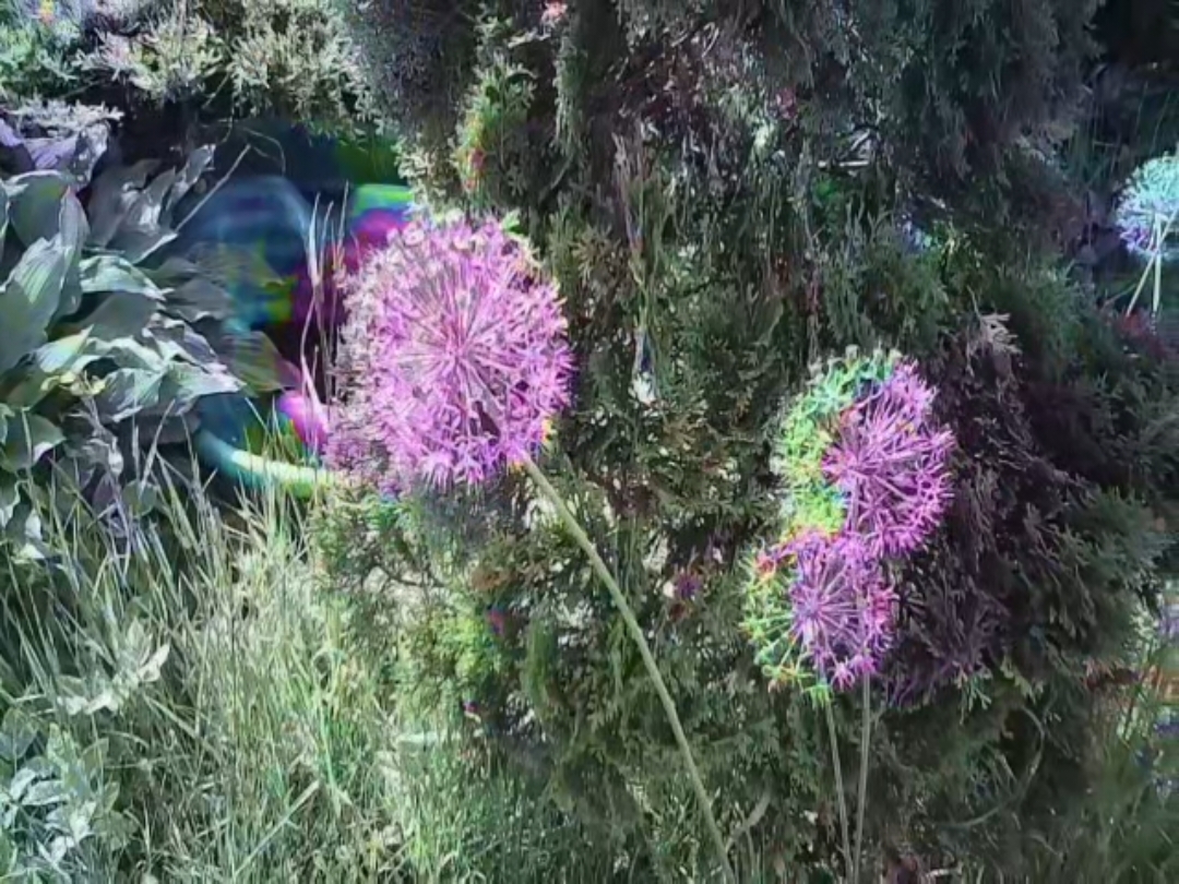 @𝗴𝗮𝗱𝗼𝗽𝘆𝗮𝘁
