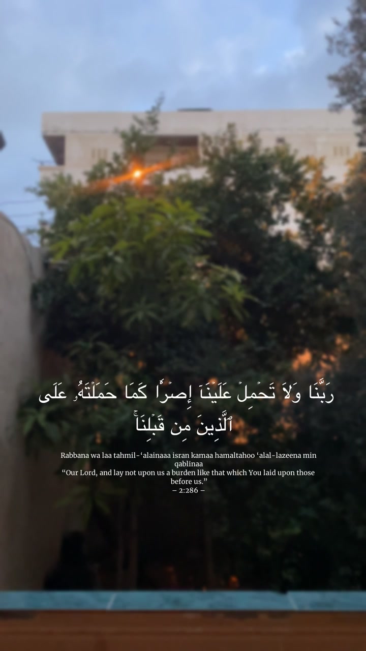 @omnia_1424 هـَ