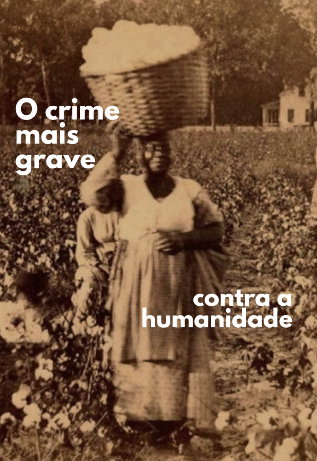 @Égua Preto