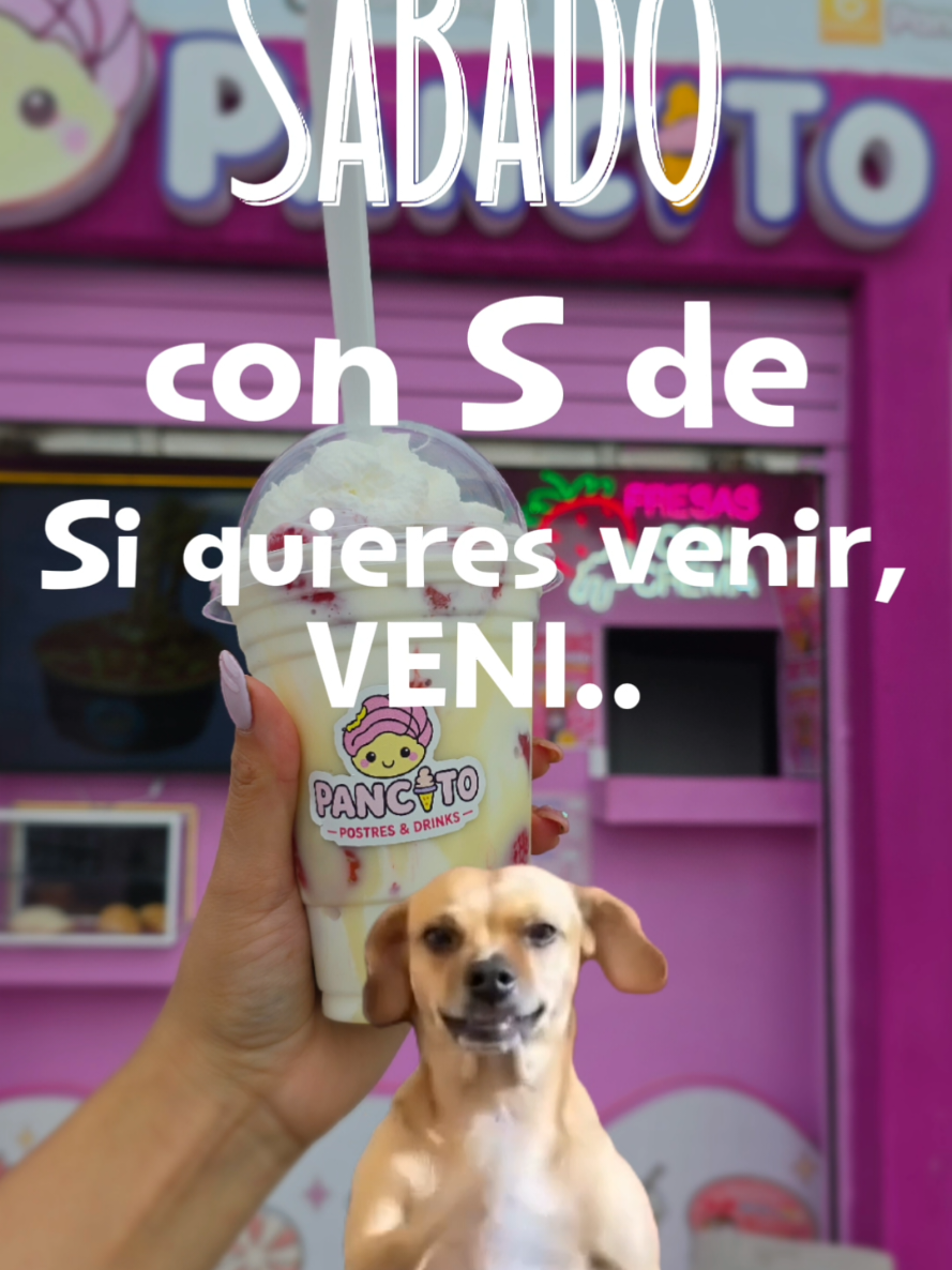 @Pancitodgo