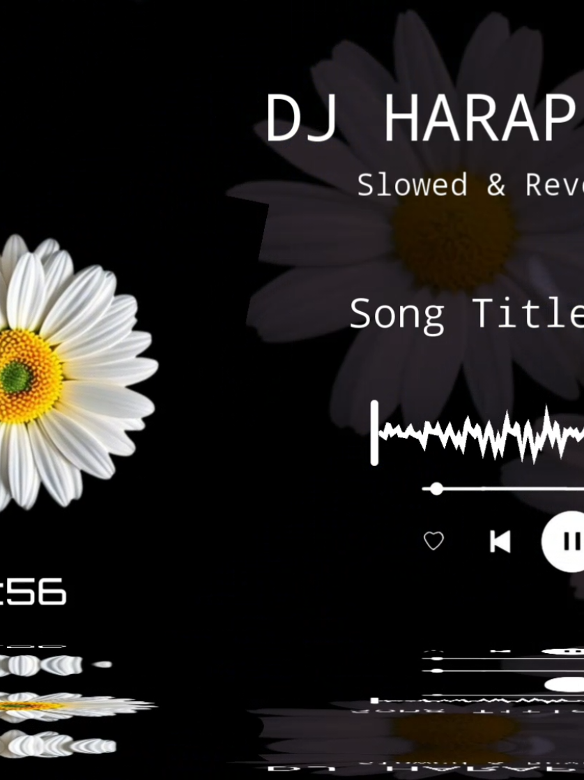 @ALEXA MUSIC