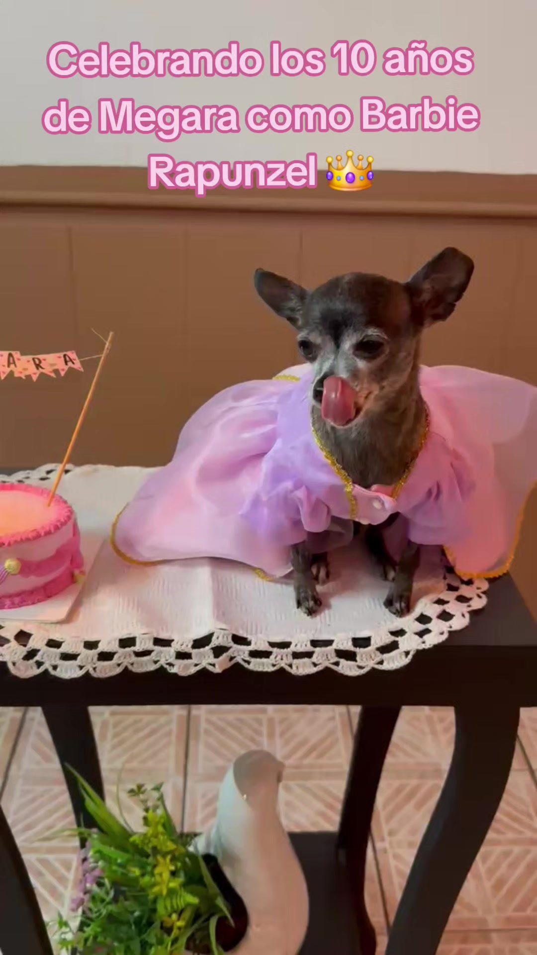 @ChiwaBull